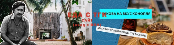 тгк Алексин