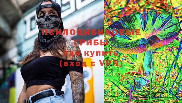 крисы Абаза