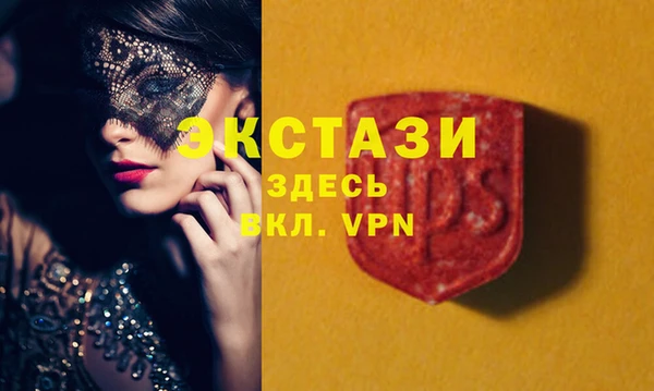 крисы Абаза